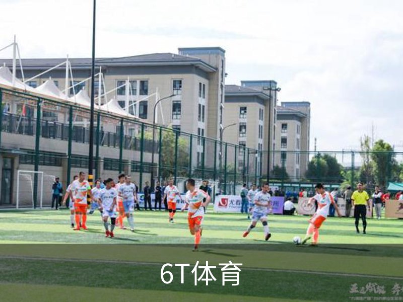 6T体育介绍